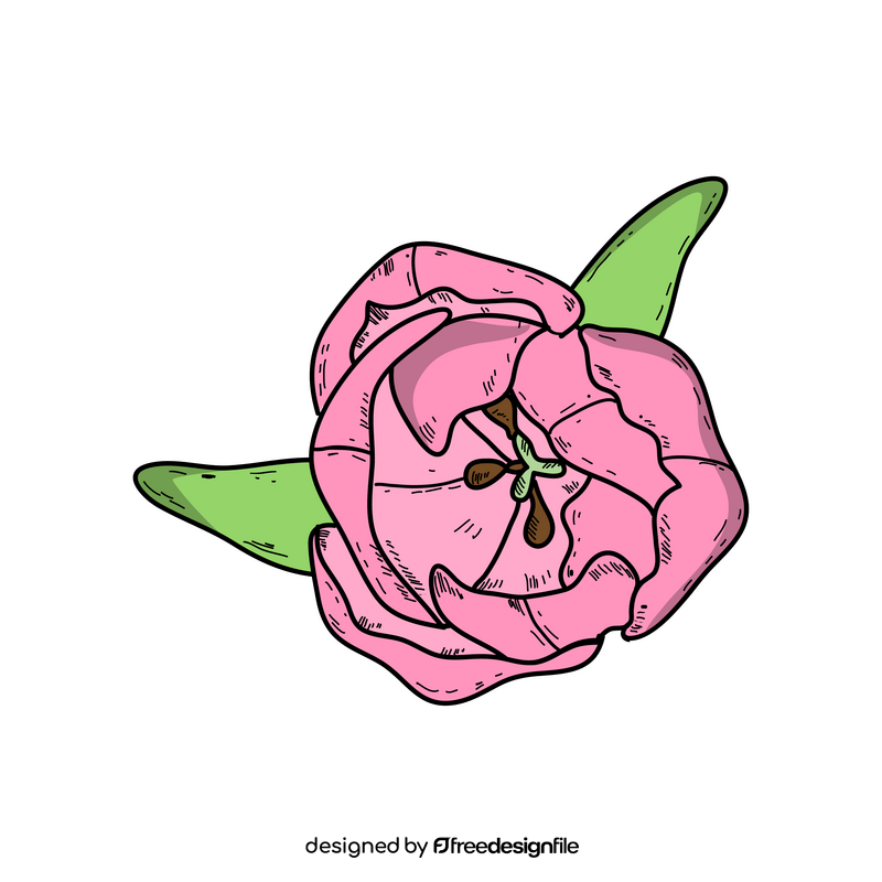 Pink tulip drawing clipart