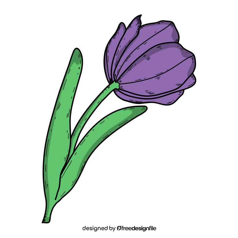 Tulip drawing clipart