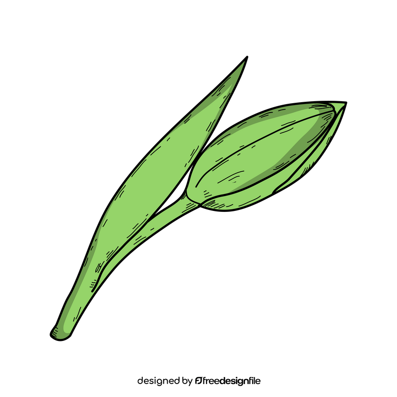 Closed tulip bud drawing clipart