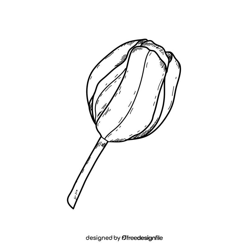 Tulip spring flower drawing black and white clipart