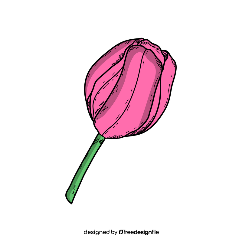 Tulip spring flower drawing clipart