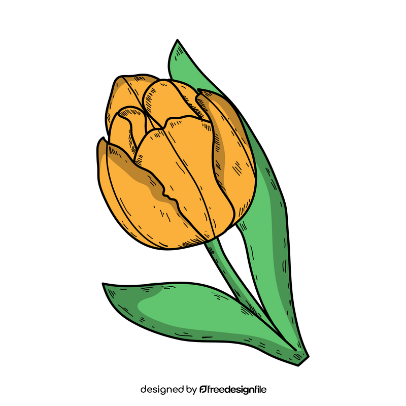 Yellow tulip drawing clipart