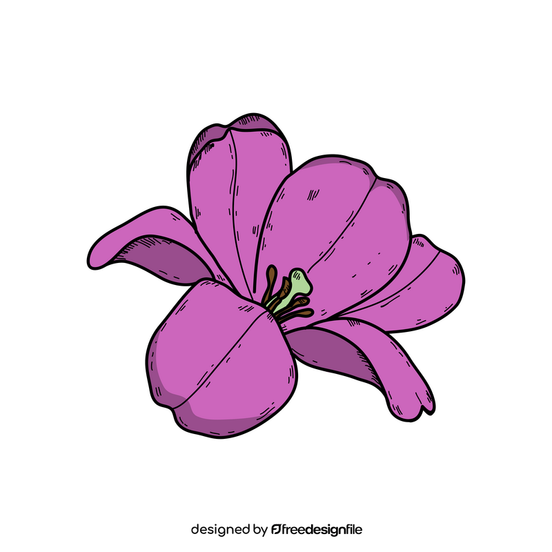 Purple opened up tulip flower drawing clipart