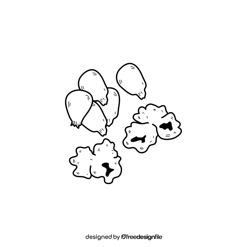 Popcorn seeds drawing black and white clipart