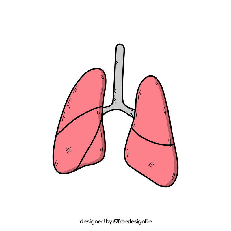 Human lungs drawing clipart