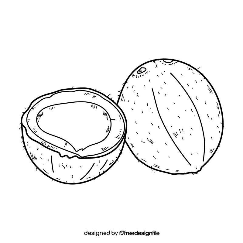 Coconut drawing black and white clipart free download