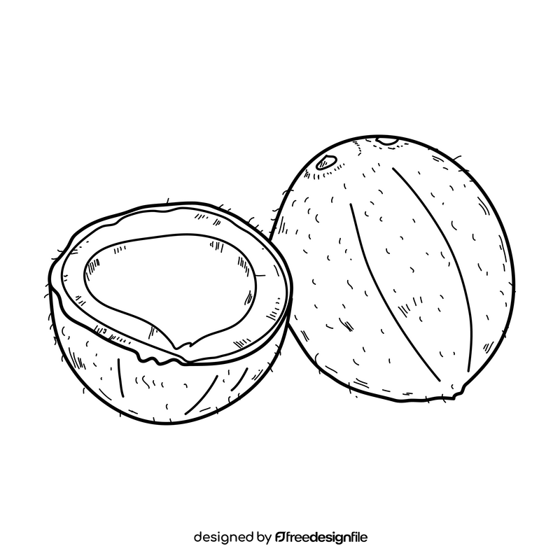 Coconut drawing black and white clipart