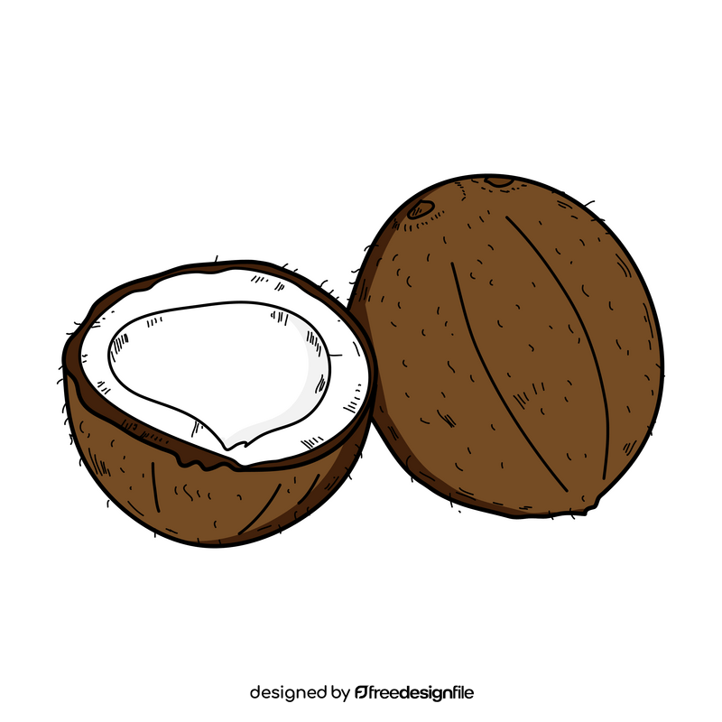 Coconut drawing clipart