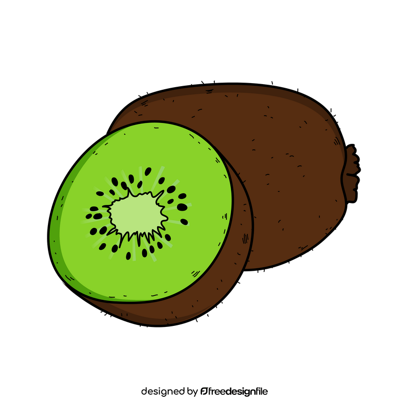 Kiwi fruit drawing clipart