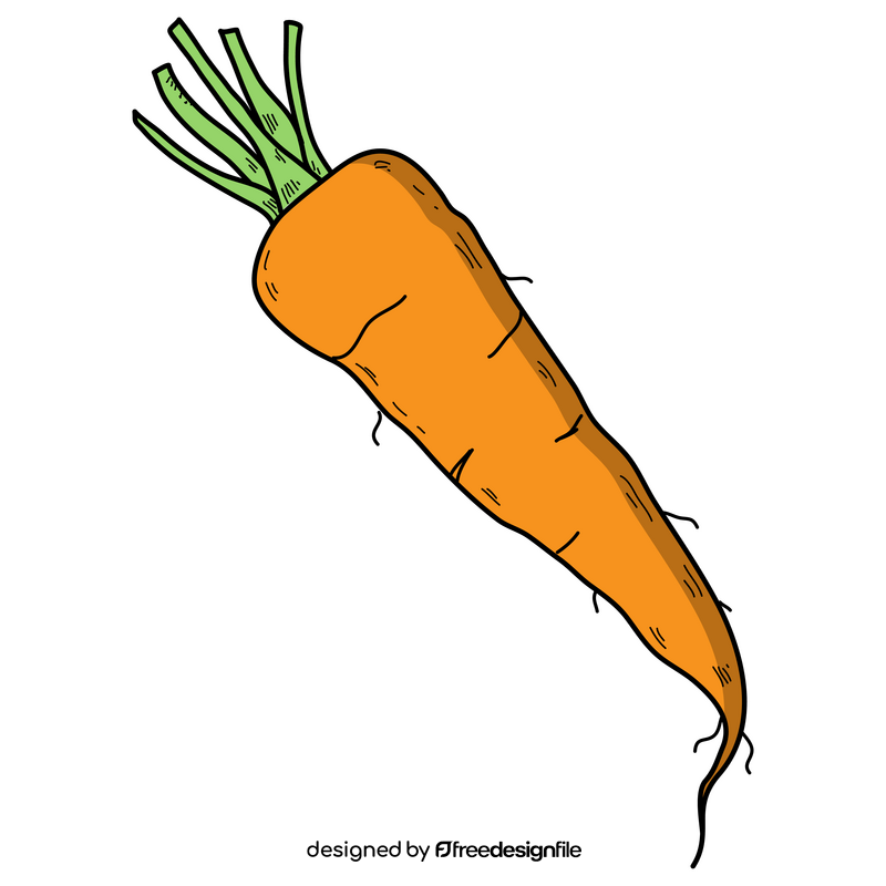 Carrot drawing clipart
