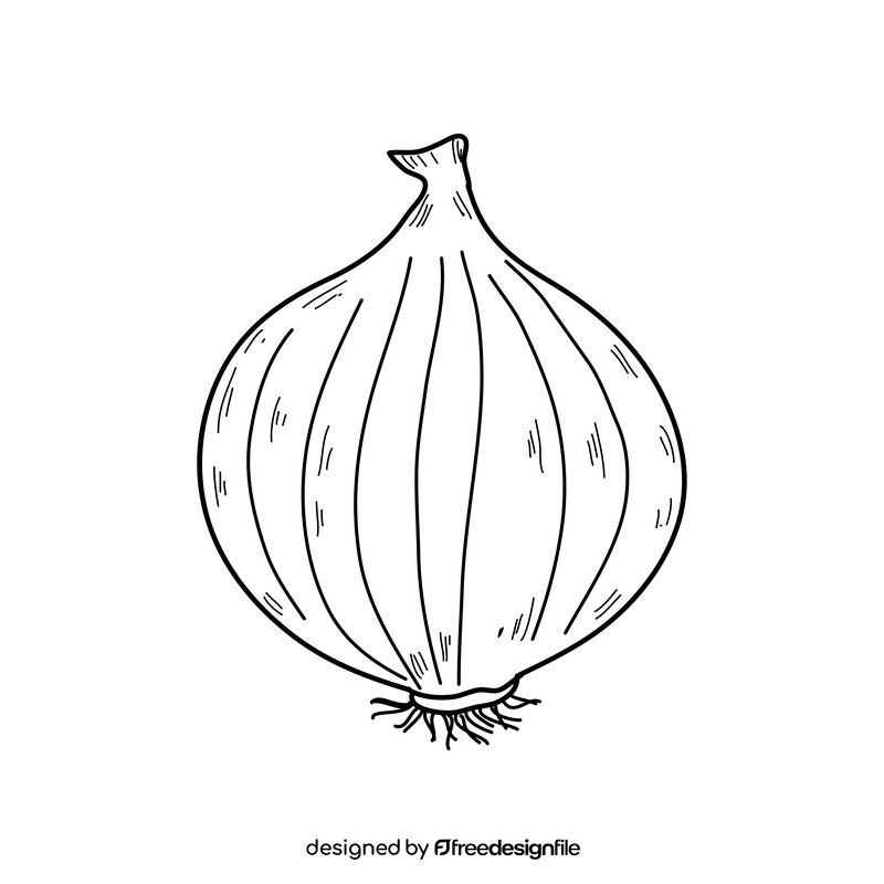 Onion drawing black and white clipart