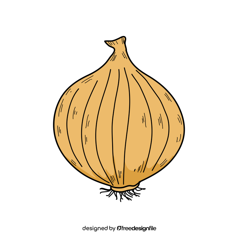Onion drawing clipart
