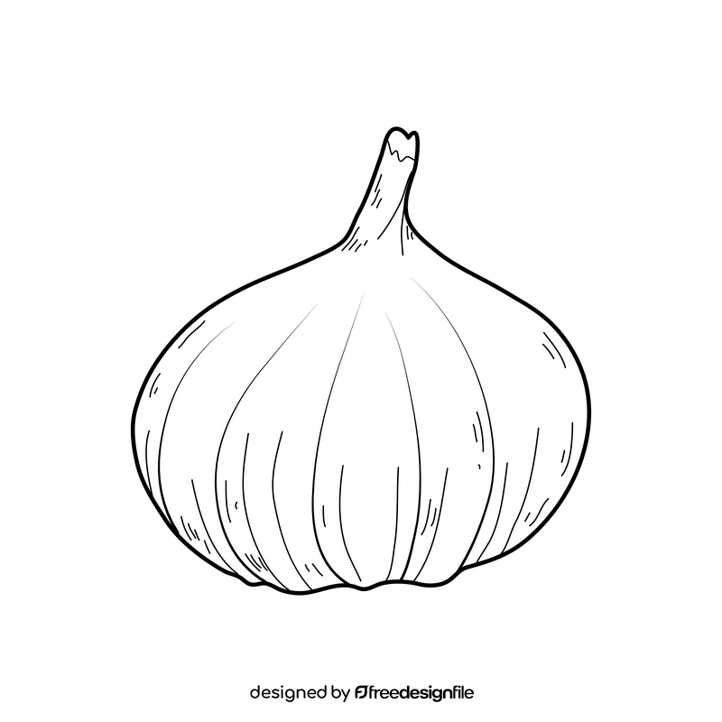 Garlic drawing black and white clipart