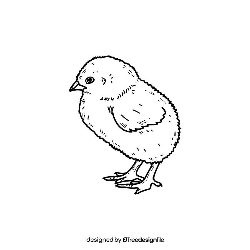 Easter chick drawing black and white clipart