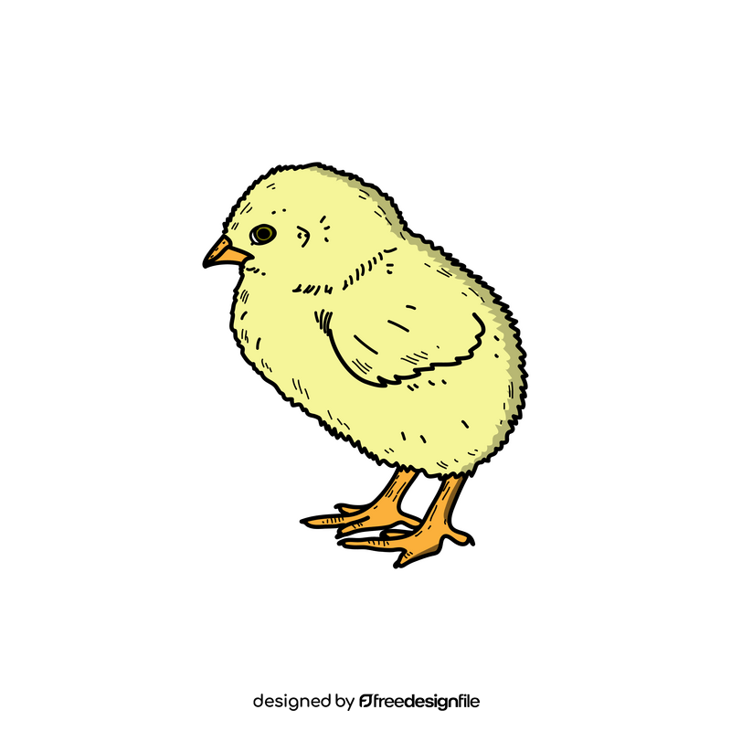Easter chick drawing clipart