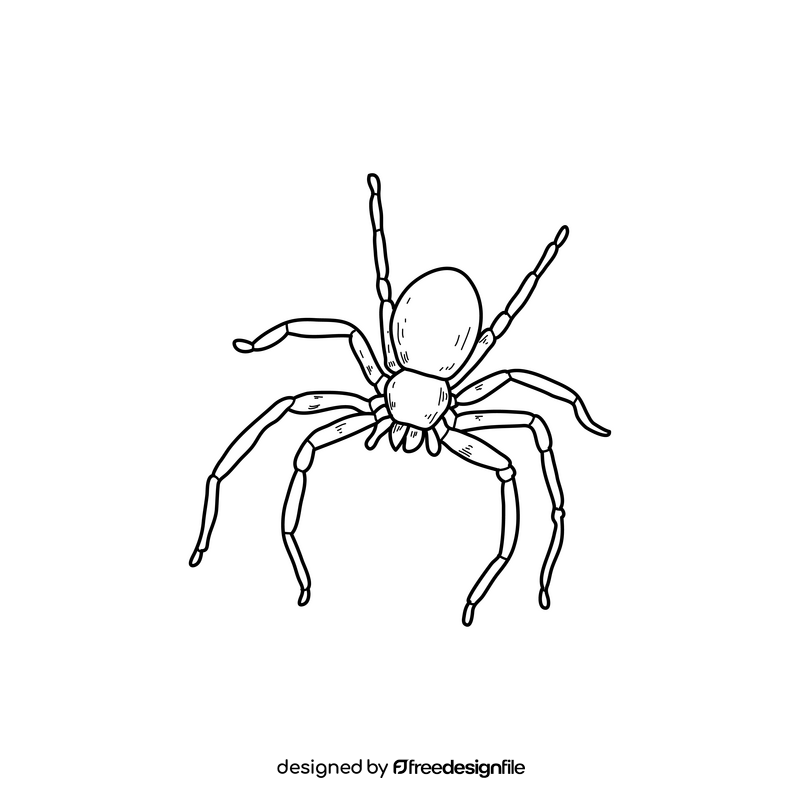 Halloween spider drawing black and white clipart free download