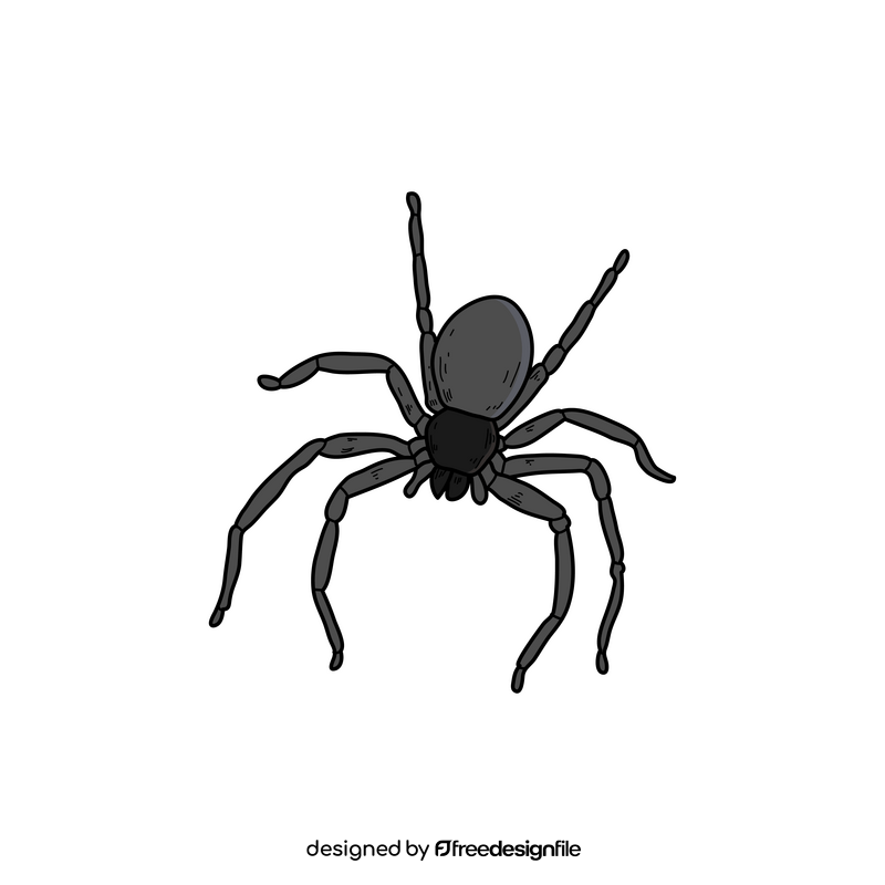 Halloween spider drawing clipart