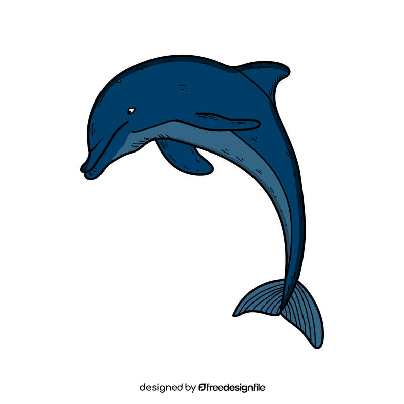 Dolphin drawing clipart
