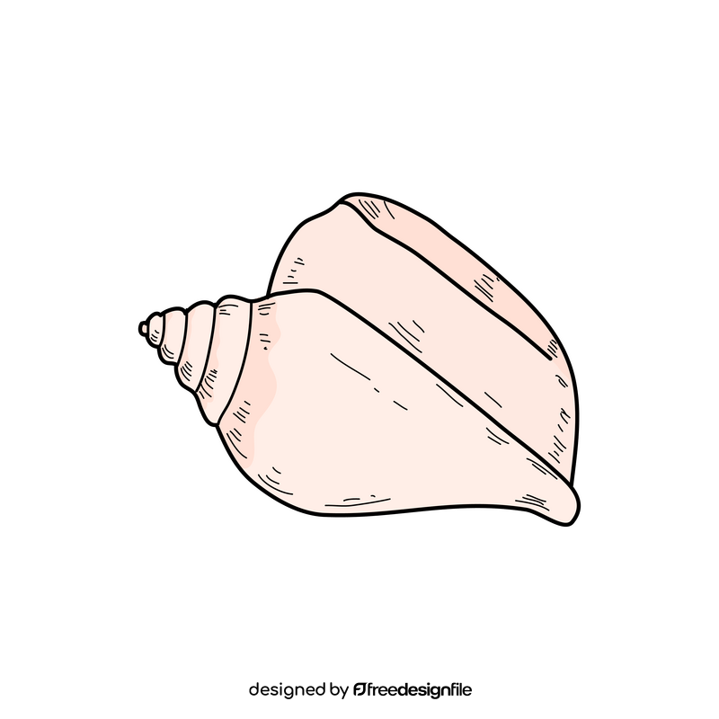 Sea snail drawing clipart