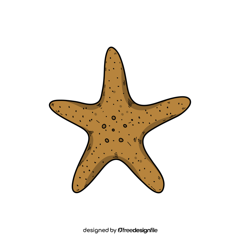 Starfish drawing clipart