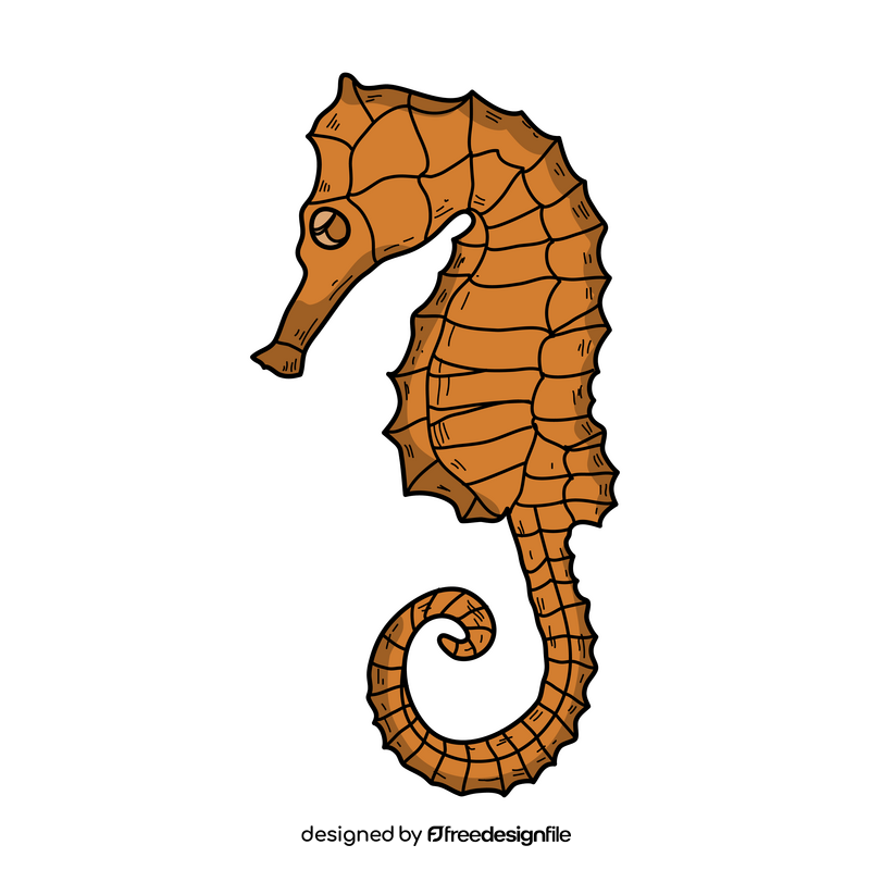 Seahorse drawing clipart