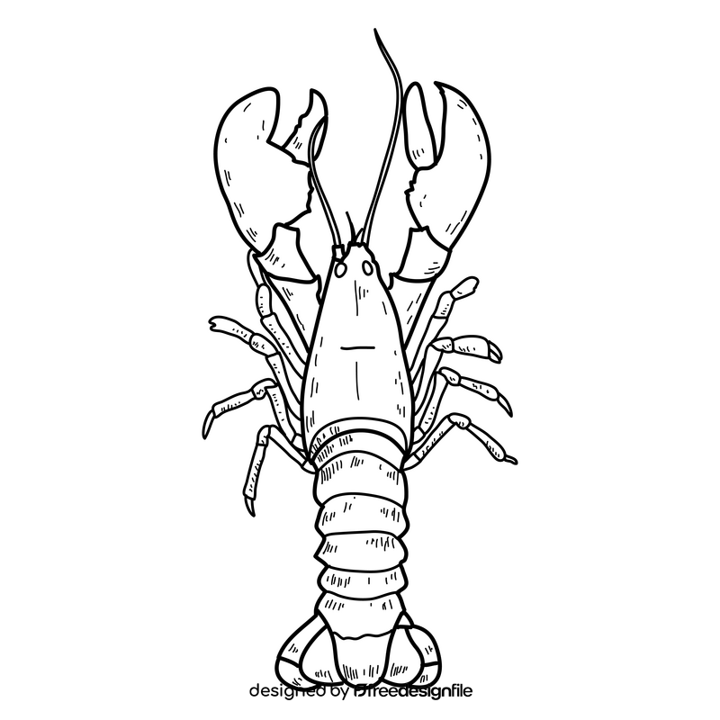 Lobster drawing black and white clipart vector free download