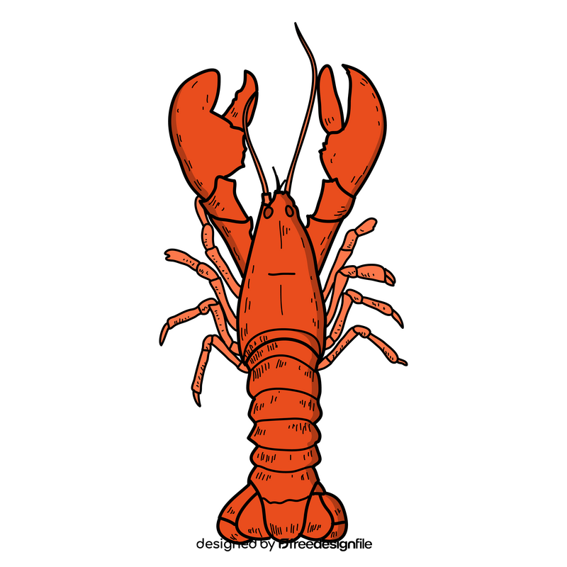 Lobster drawing clipart