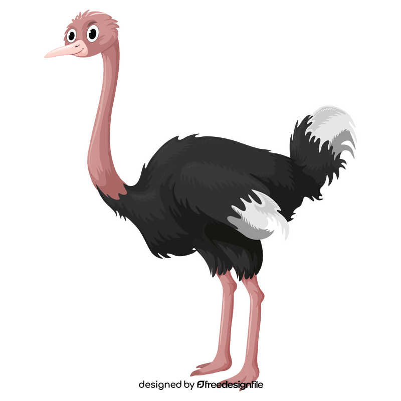 Cartoon ostrich clipart