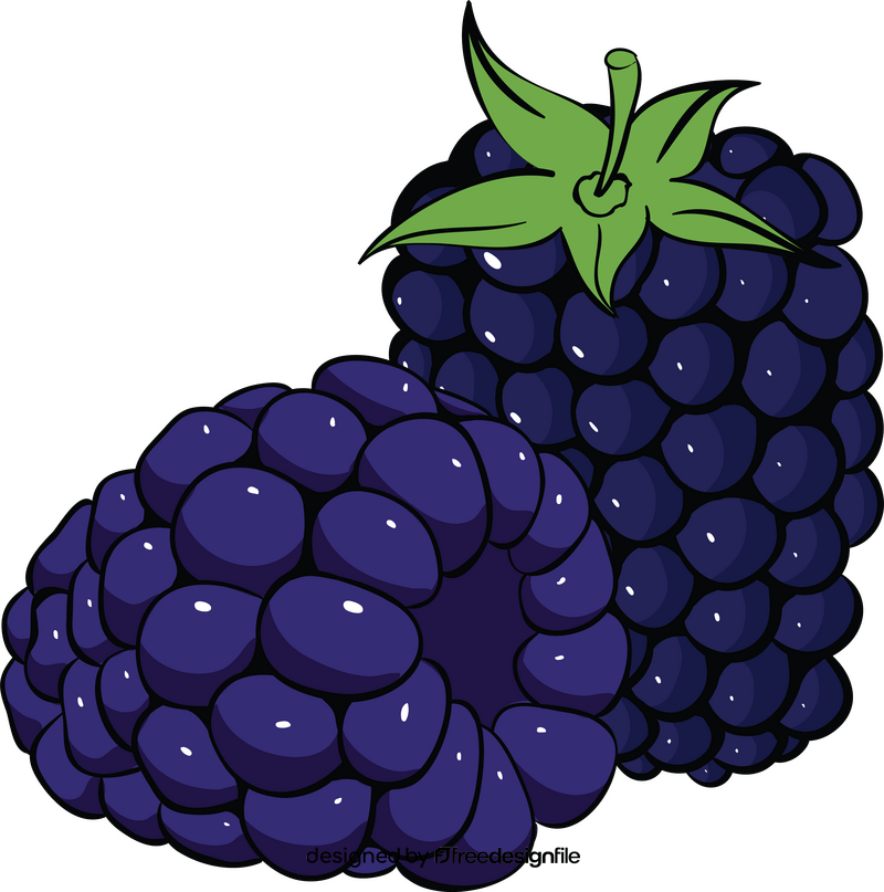Blackberry fruit clipart