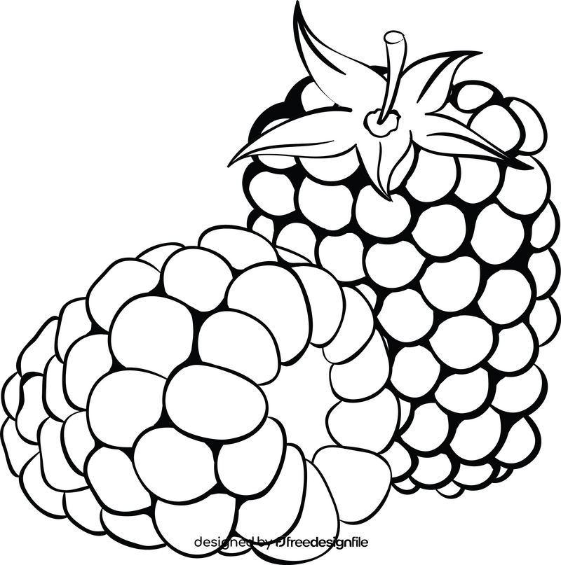 Free blackberry black and white clipart
