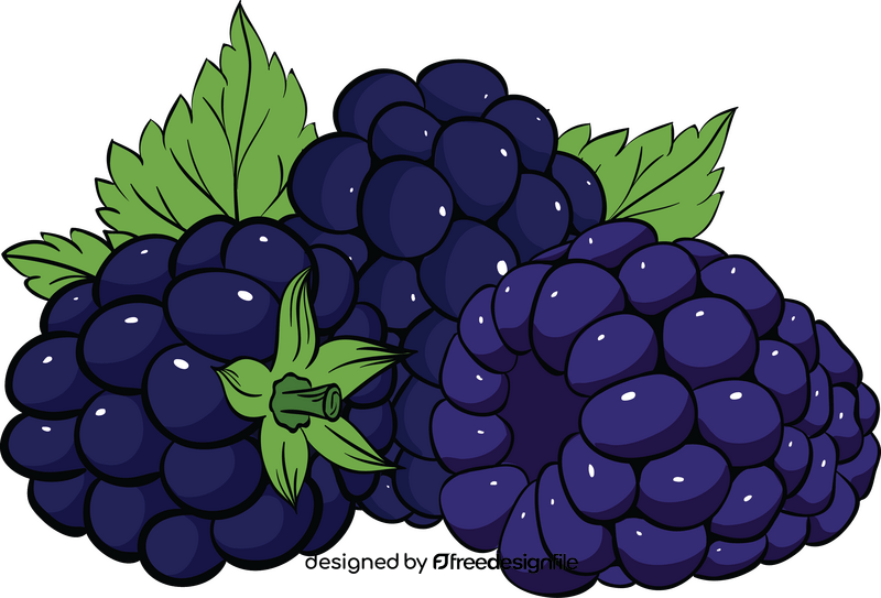 Free blackberry fruit clipart
