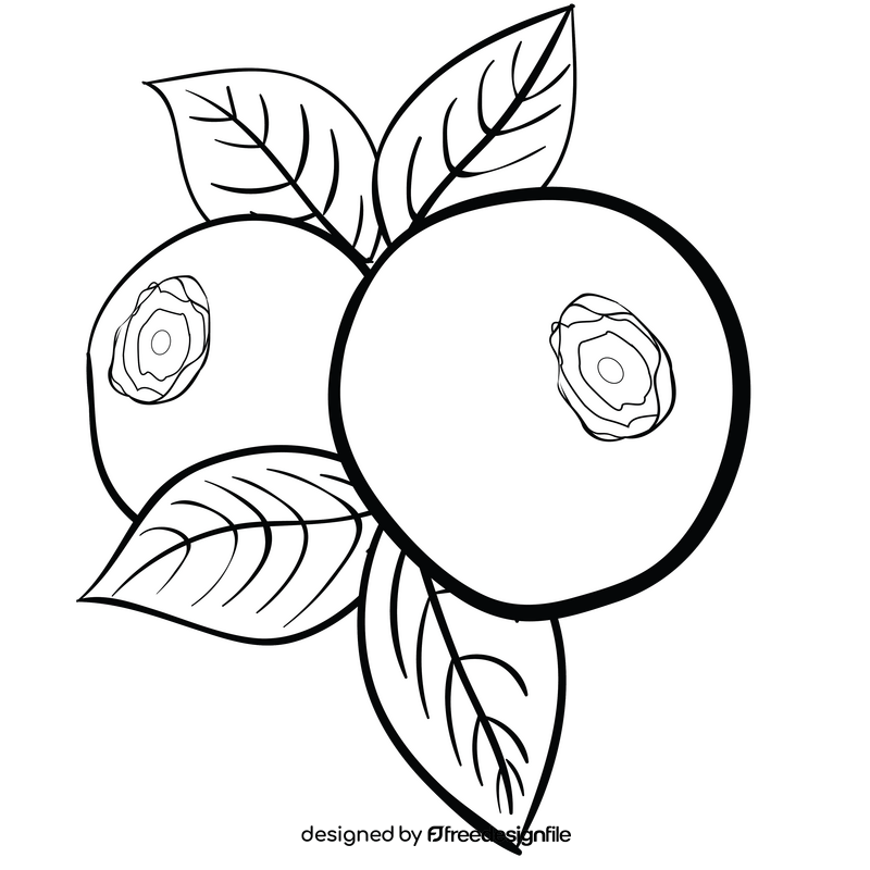 Blueberry black and white clipart