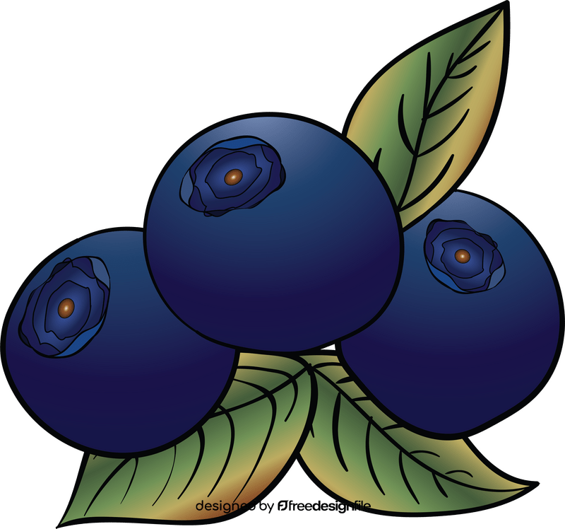 Blueberries fruit clipart