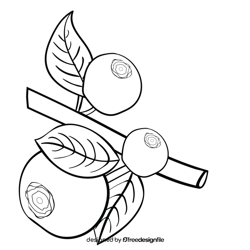 Blueberries branch black and white clipart