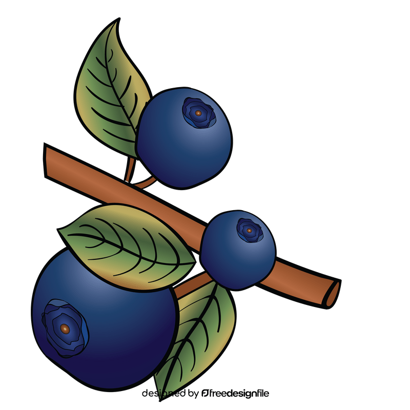 Blueberries branch clipart