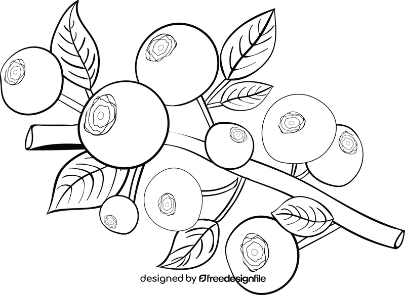 Blueberries branch black and white clipart