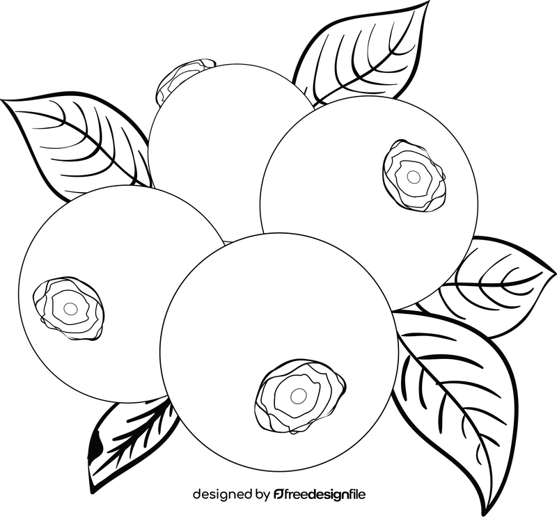 Free blueberries black and white clipart