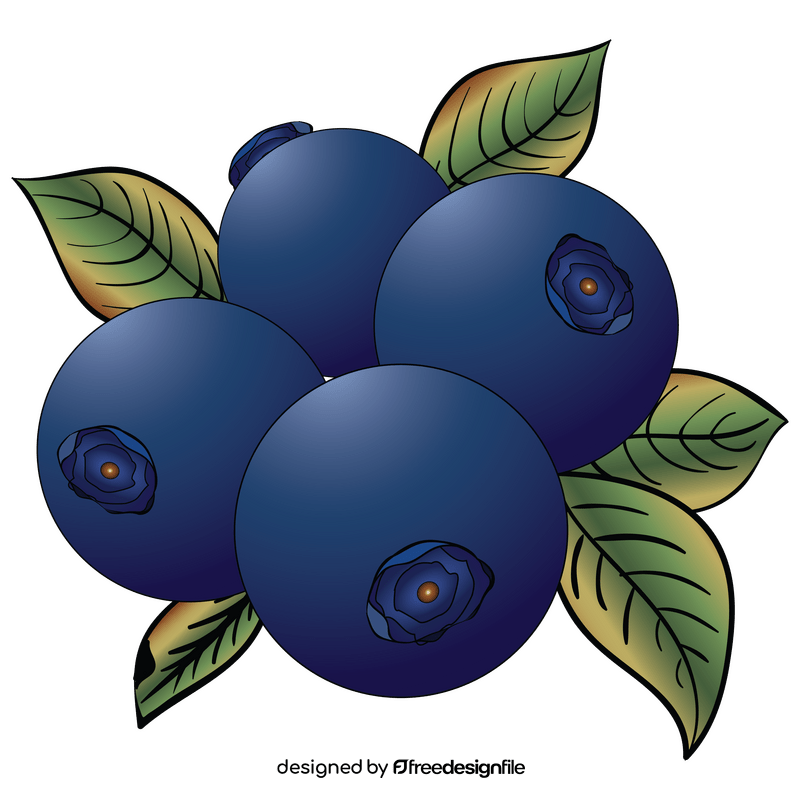 Free blueberries clipart