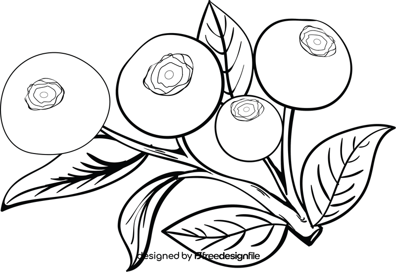 Blueberry leaves black and white clipart