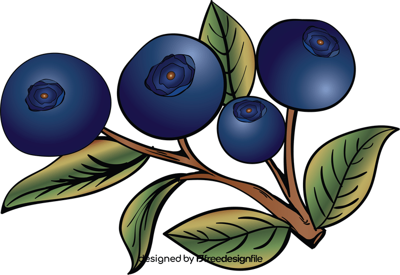 Blueberry leaves clipart
