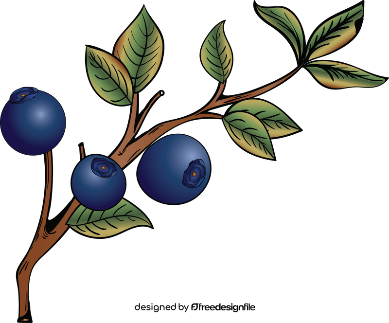 Free blueberries fruit clipart
