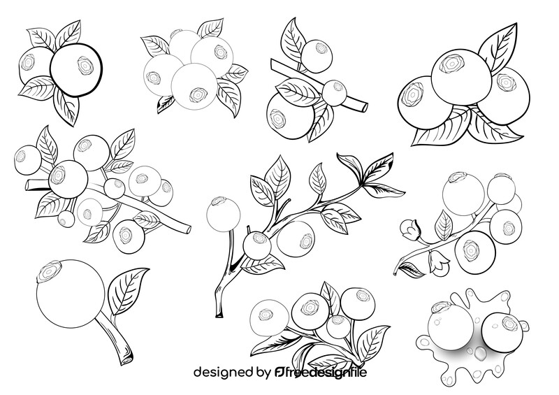 Blueberry set black and white vector