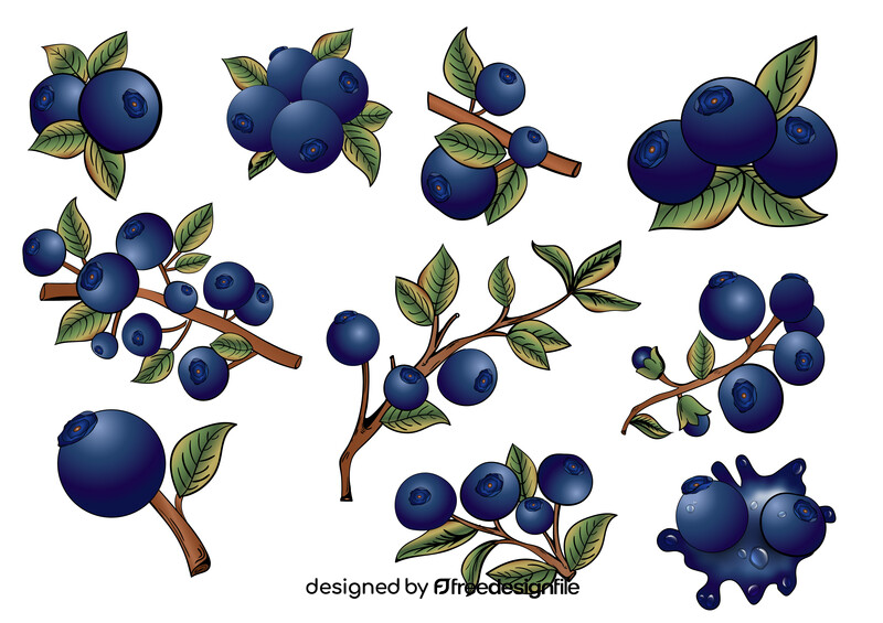 Blueberry set vector