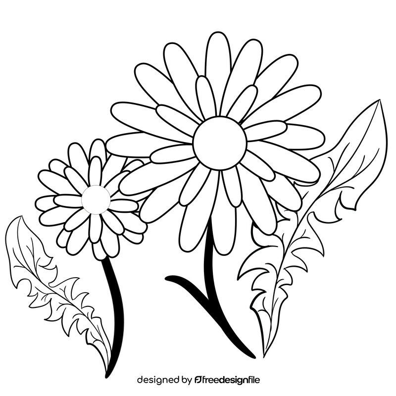 Dandelion black and white clipart