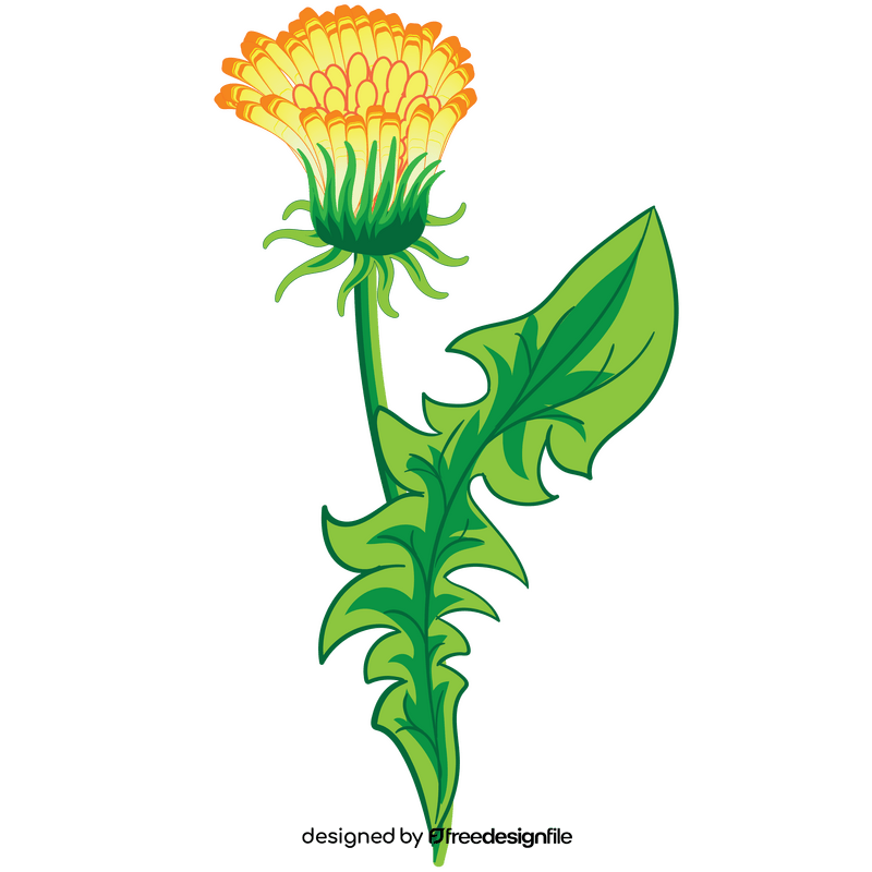 Free dandelion flower clipart
