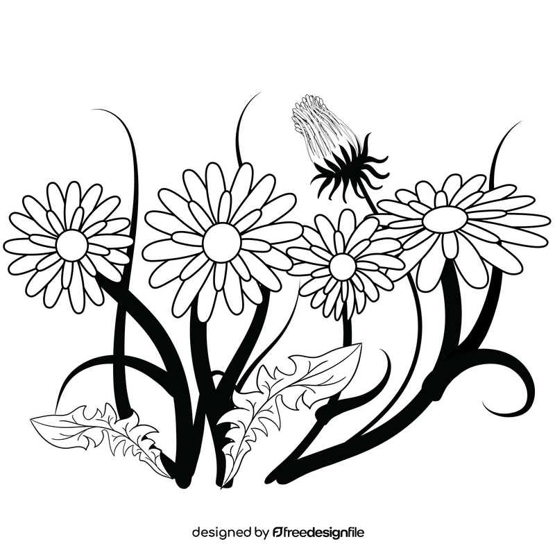 Dandelion flower black and white clipart