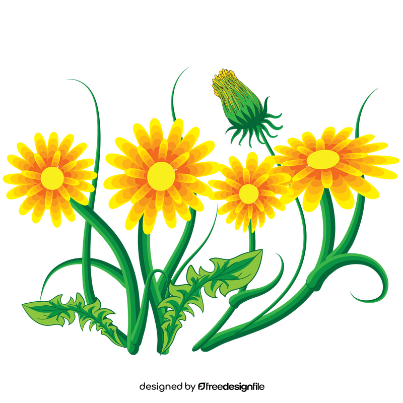Dandelion flower clipart