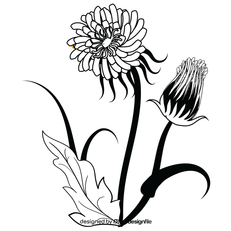 Dandelion seeds black and white clipart