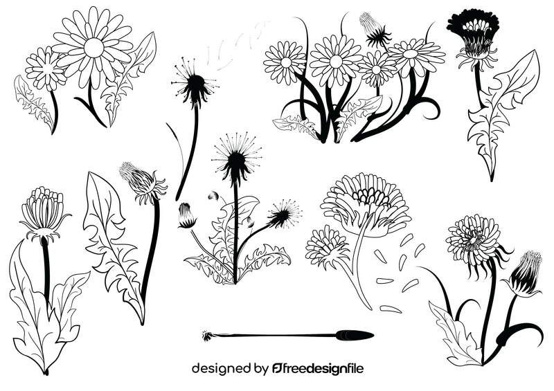 Dandelion set black and white vector