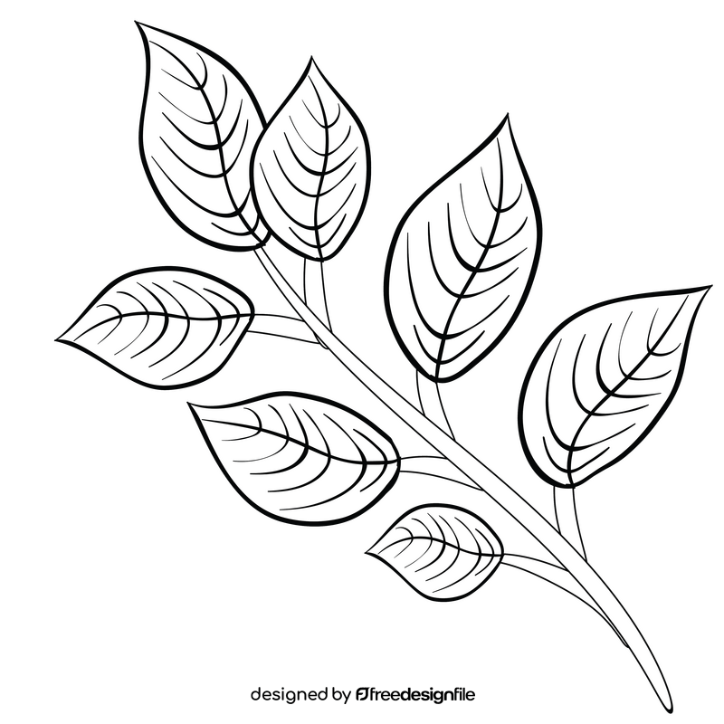 Leaf branch black and white clipart